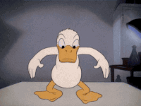200w.gif