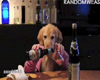 200w.gif