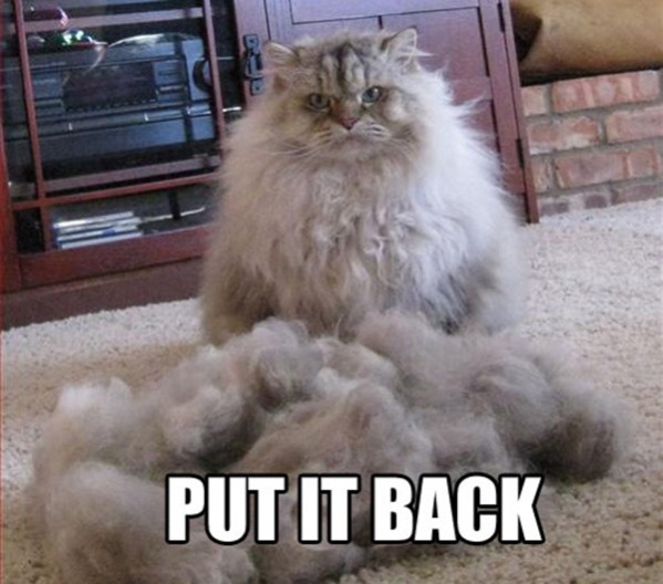 put-it-back.jpg
