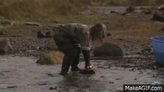 gMWcRT.gif
