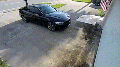 22126370.gif