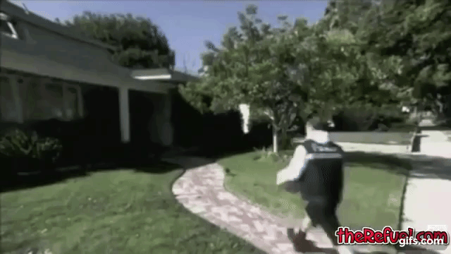 WnYYzQ.gif
