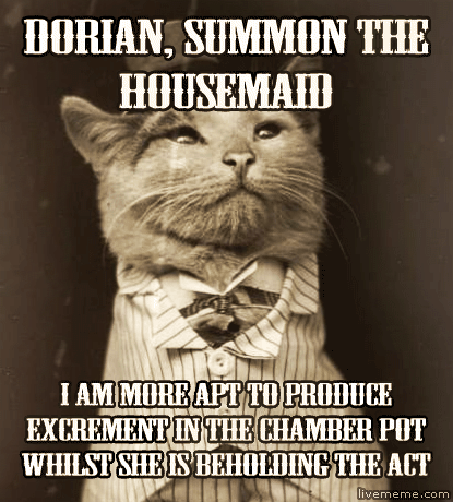 meme-a-cat-oldtimey.gif