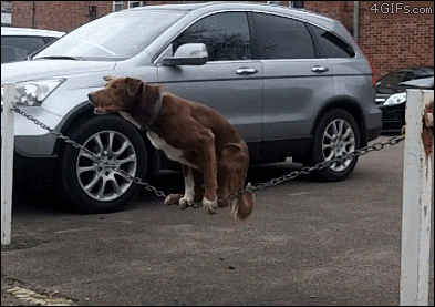 tumblr_mdca8l9VJe1qdlh1io1_400.gif