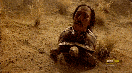 tortuga.gif