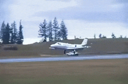 PNJwxw.gif