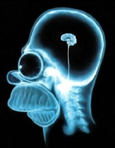 homers-brain.jpg