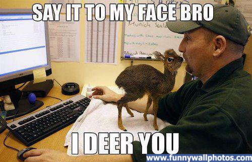 my-face.jpg
