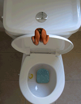 animated-toilet-image-0037.gif
