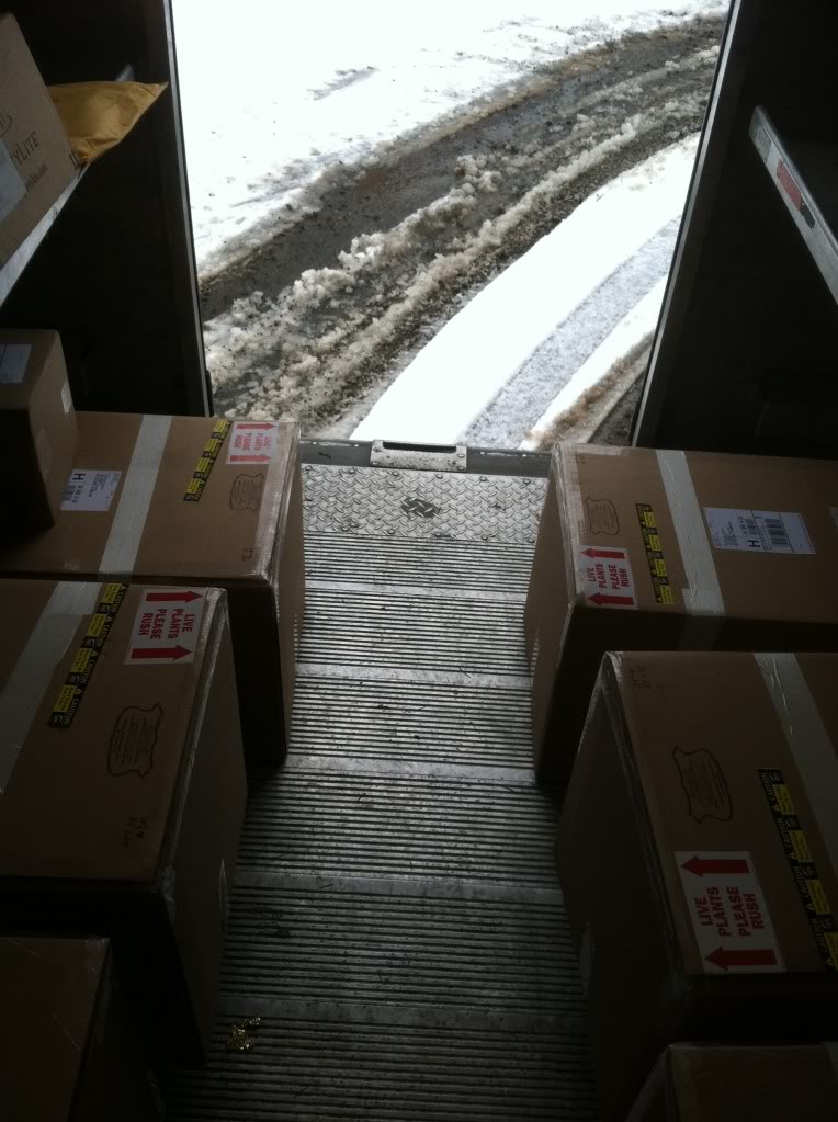 snow3.jpg