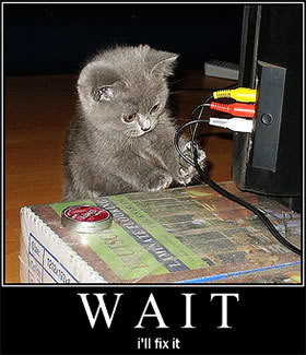 cat_thread.jpg