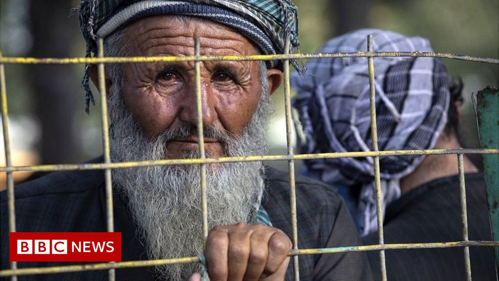 www.bbc.com