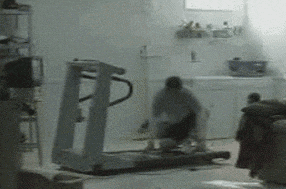 giphy.gif