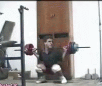 giphy.gif