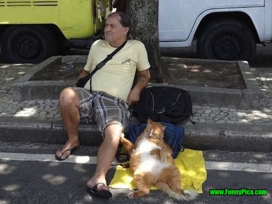 TOP-40-Crazy-Funny-Stupid-19.jpg