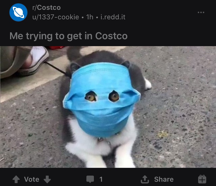 kwzgATk.jpg