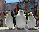 madagascar_penguins_150.jpg