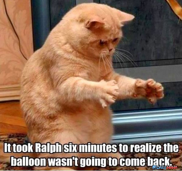 took-ralph-a-while.jpg