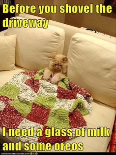 ad15728ecc1f37e700bd11eb230be852.jpg