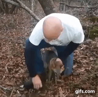 r0LORK.gif