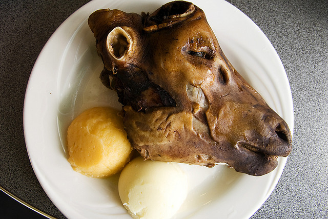 20120415-sheeps-head.jpg