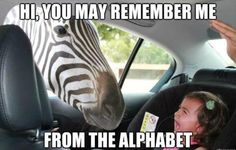 78a7904da5b2a0f4bd4ab69beb2f6e7e.jpg