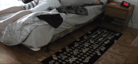 giphy.gif
