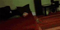 200w.gif