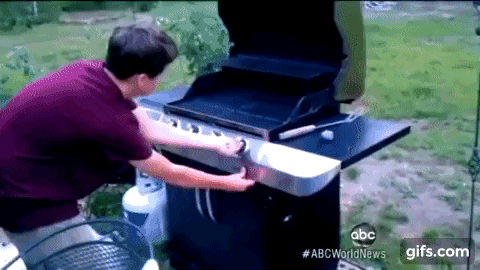 v205L0.gif