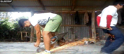 giphy.gif