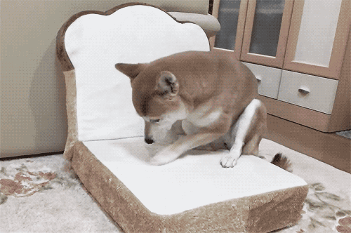 butterin-mah-toast---imgur.gif