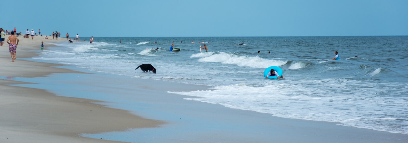 fireisland.com