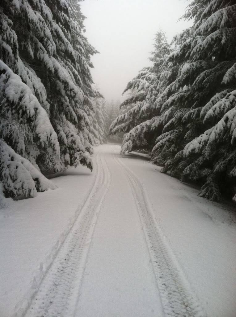 snow2.jpg