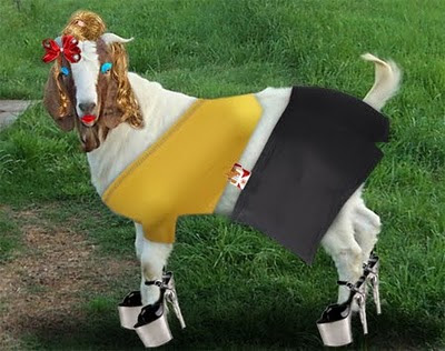 whoreGoat.jpg
