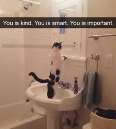 e80461f60da15f33c5c39fef39c1ef38.jpg