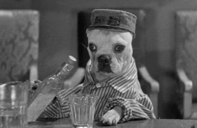dogpost6.gif