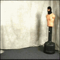 200w.gif