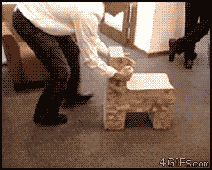 40455034036581286556.gif