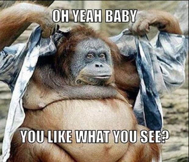 funny-dumpaday-pictures-96.jpg