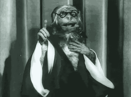 2ZPK.gif