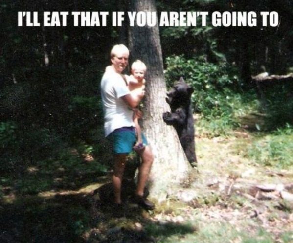 hungry-bear.jpg