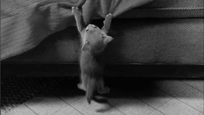 tumblr_mtwxlbxHrn1saagnvo1_400.gif