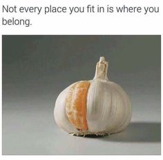794ca13efb3d3f1c1f4ba9cd564c866b.jpg