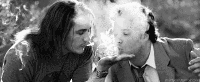 200w.gif
