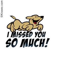 missed.jpg