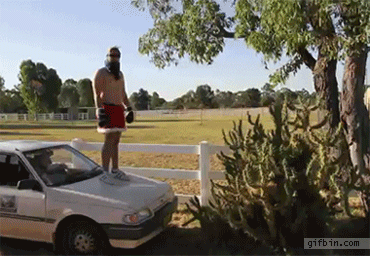 1361212269_guy_jumps_into_cactus_bush.gif