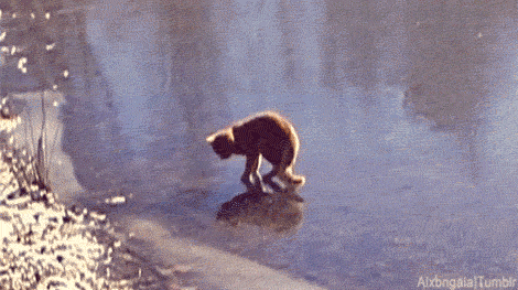 040e3d2532a6b3bfc5b0a5c4f06c4235.gif