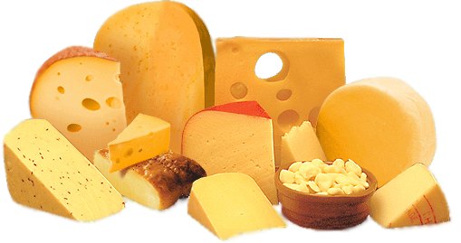 can-cats-eat-cheese-main.jpg