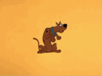 200w.gif