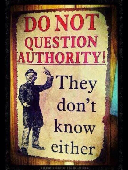 Do+not+question+authority+they+don't+know+either.jpg